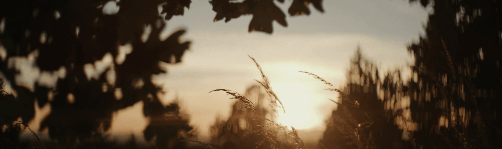  Architects-of-trinitygateinvestments-header