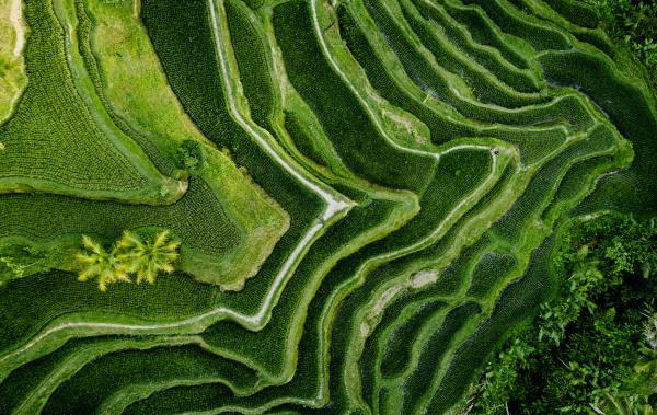 Trinity Gate Investments_Co-Invest_Sustainability