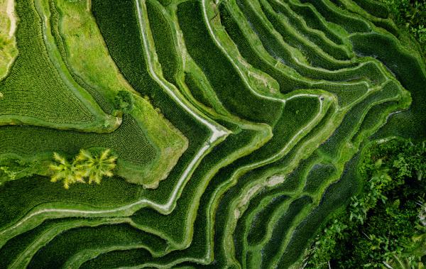 Trinity Gate Investments_Co-Invest_Sustainability